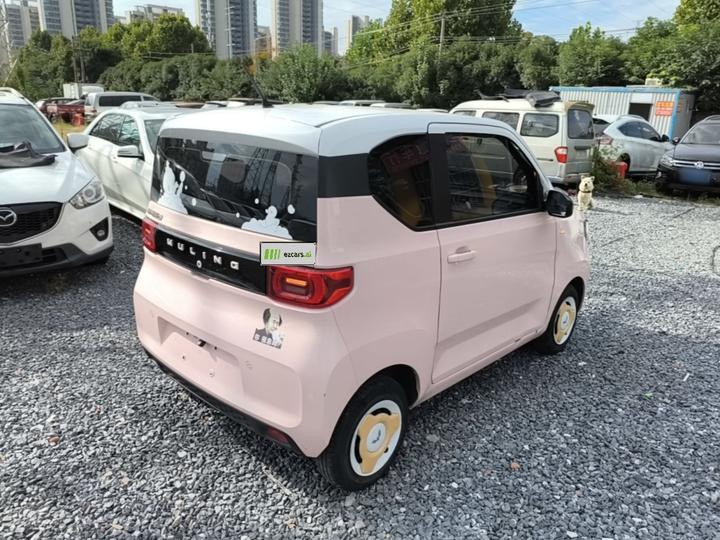 Hongguang MINIEV 2021 Macaron LFP photo 4