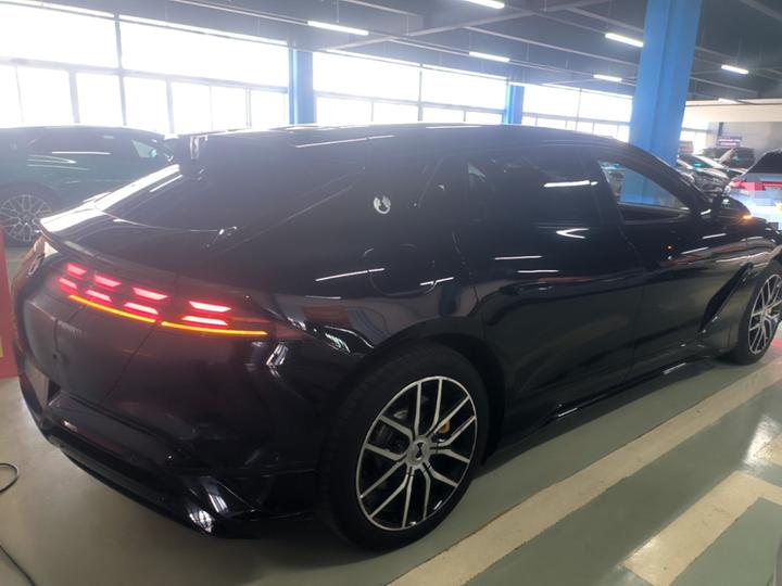 Z9GT 2024 1100 AWD Max photo 6
