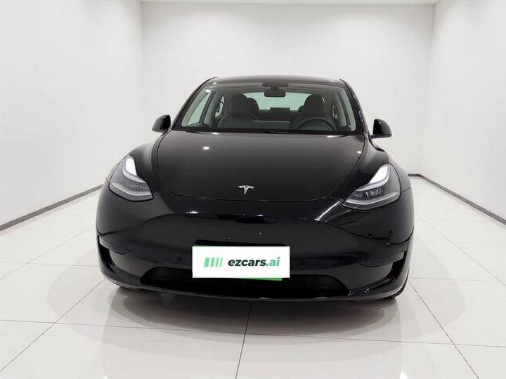 Model Y 2021 Standard Range RWD photo 2