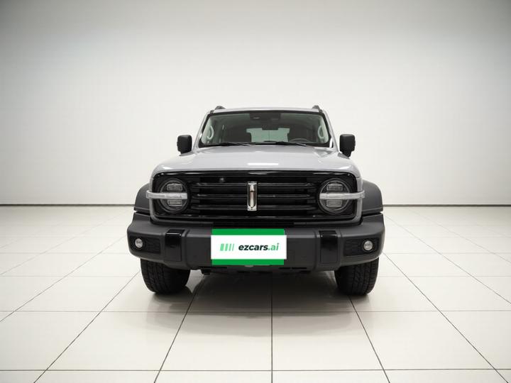 300 2021 Off-road 2.0T Conqueror photo 2