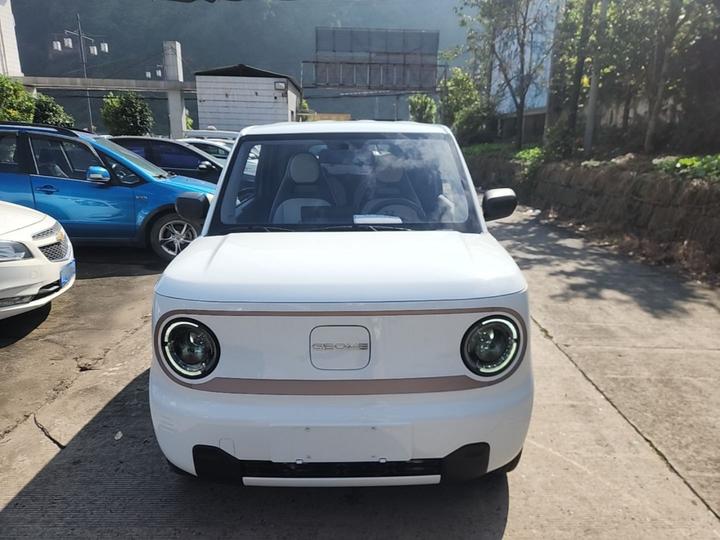 2023 Panda mini 200km Endurance Bear photo 2