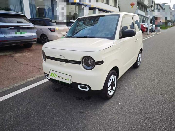 2025 Panda mini 210km Yuan