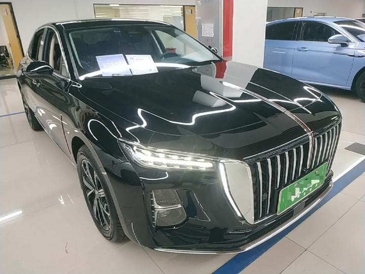 H5 PHEV 2025 170 photo 3