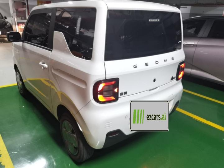 2023 Panda mini 200km Endurance Bear photo 4