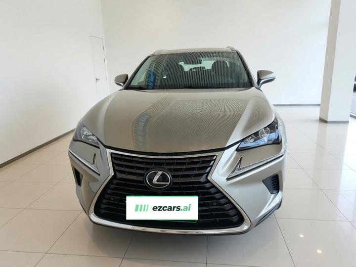 NX 2020 300h FWD China VI photo 2