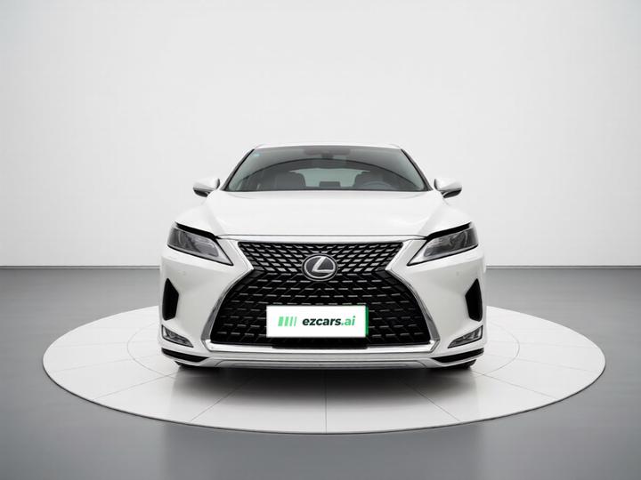 RX 2020 Facelift 300 RWD Elite photo 2