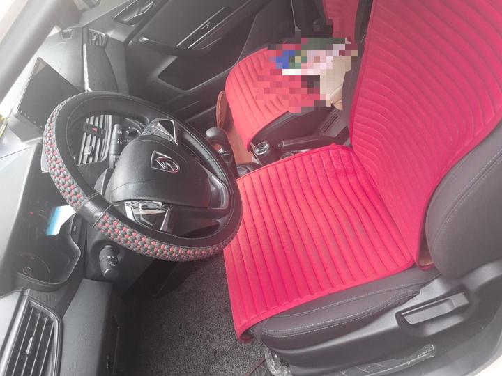 310 2016 1.2L MT Comfort photo 7