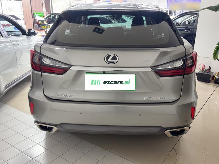 RX 2016 300 RWD Elite China V photo 6