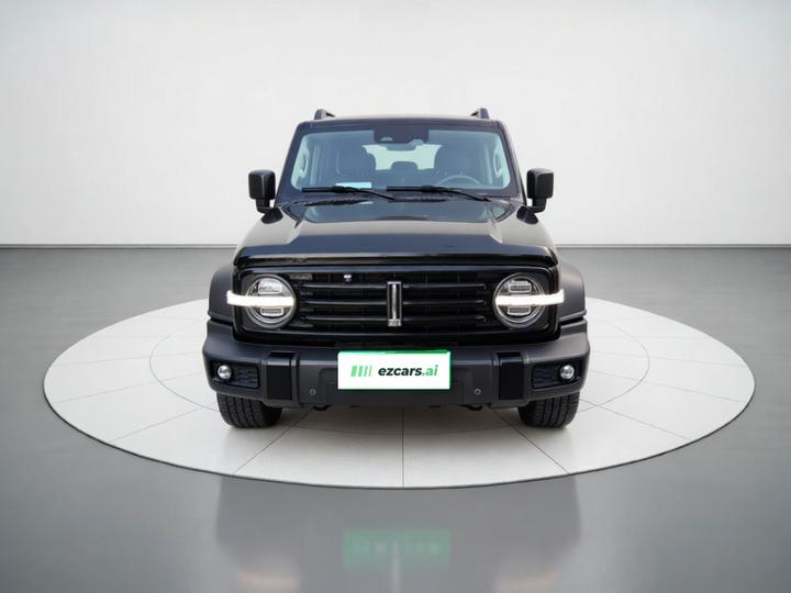 300 2021 Off-road 2.0T photo 2