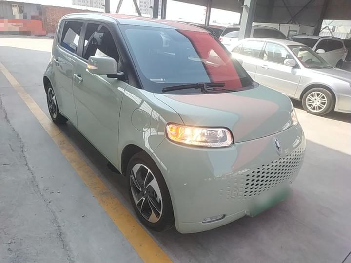 2022 Upgraded 305km Luxury NCM photo 3