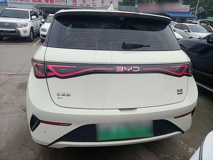 Dolphin 2025 ADAS 410km Fashion photo 3