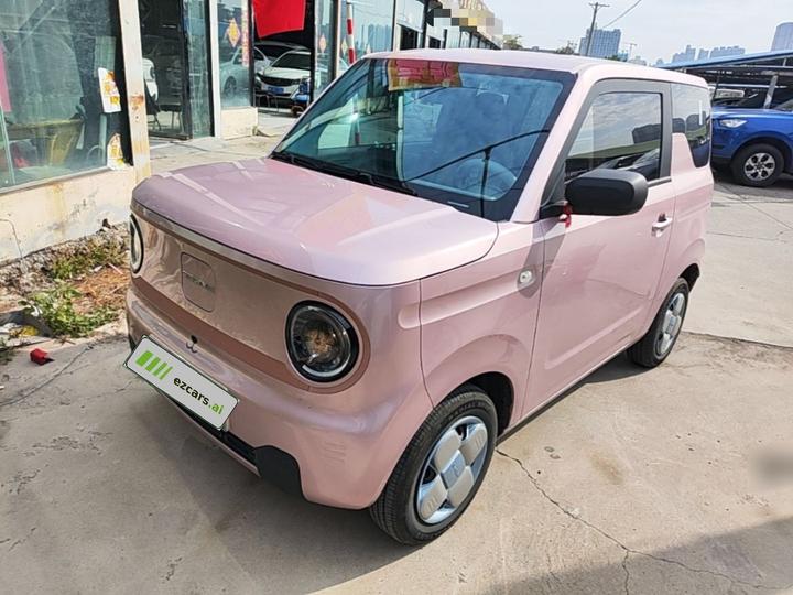 2024 Panda mini 200km Endurance Bear