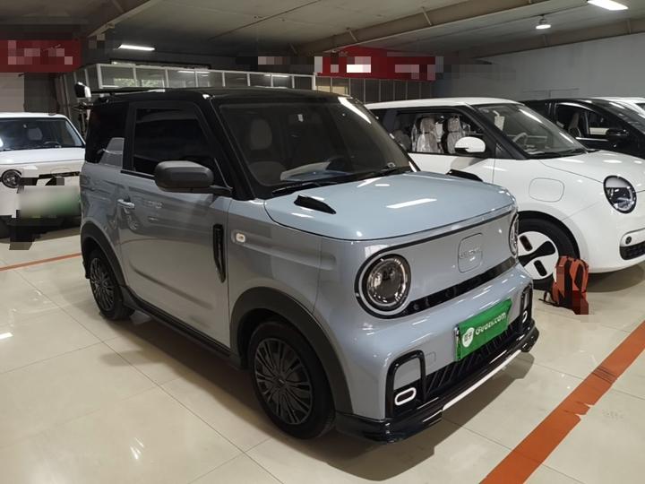 2025 210km Panda photo 3