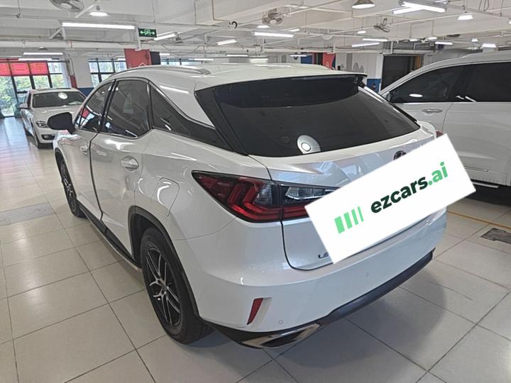 RX 2016 300 RWD Elite China V photo 4