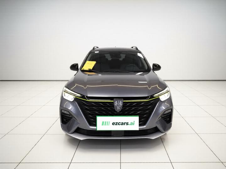 RX5 EV 2020 ePLUS Flagship photo 2