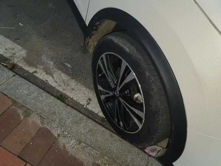 Qashqai 2019 2.0L CVT Luxury photo 8
