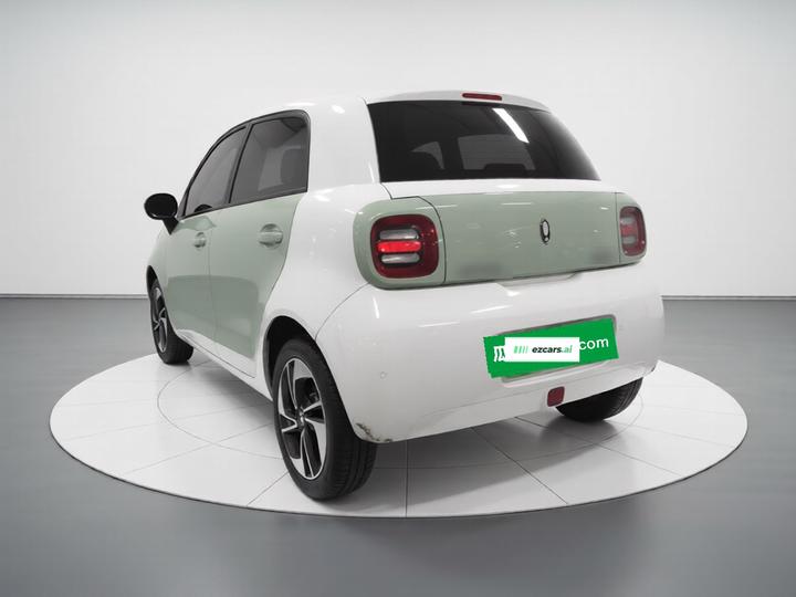 2021 351km Luxury photo 4