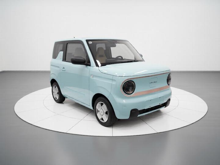 2024 Panda mini 200km Endurance Bear photo 3