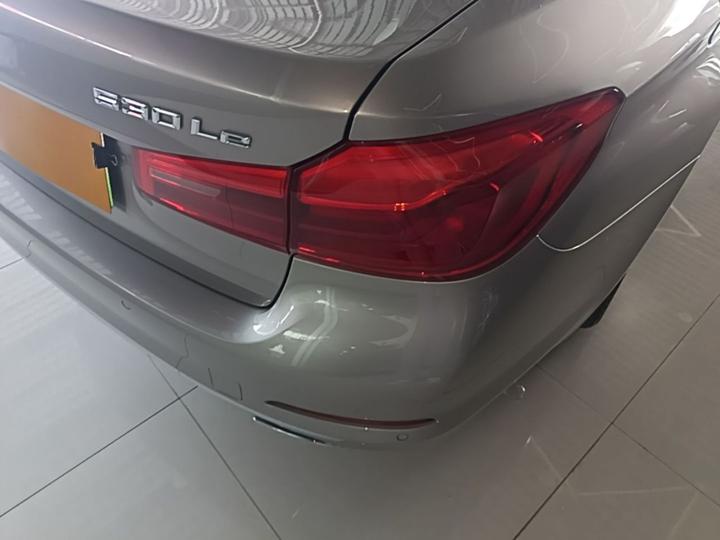 5 Series EV 2019 Facelift 530Le photo 7