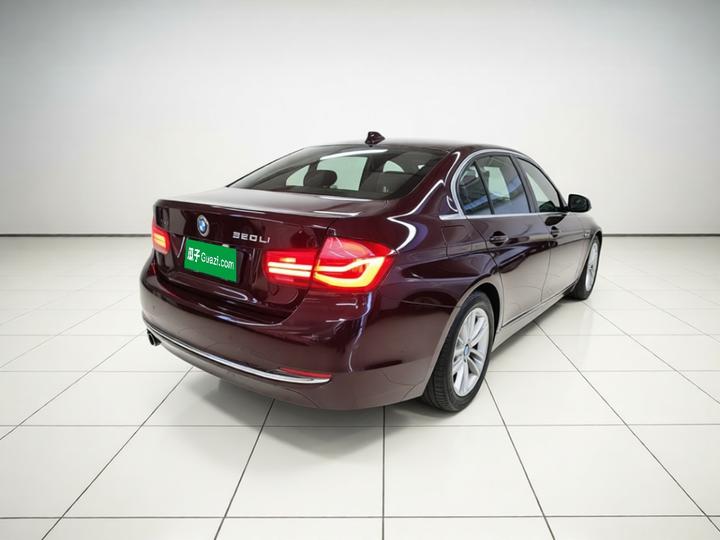 3 Series 2016 320Li Progressive photo 4