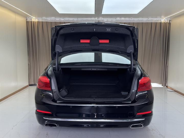 5 Series EV 2019 Facelift 530Le photo 8