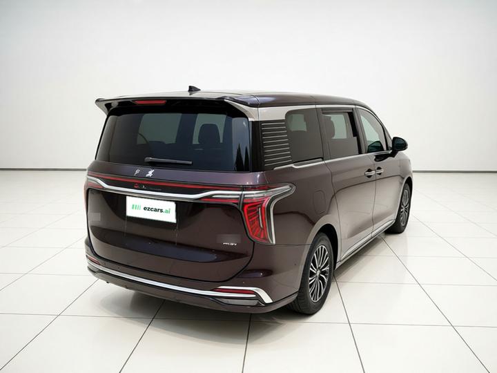 HQ9 PHEV 2024 2.0T AWD Business photo 6