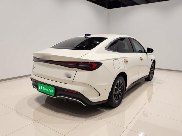 Seal 06 EV 2025 DM-i ADAS 80KM Luxury photo 6
