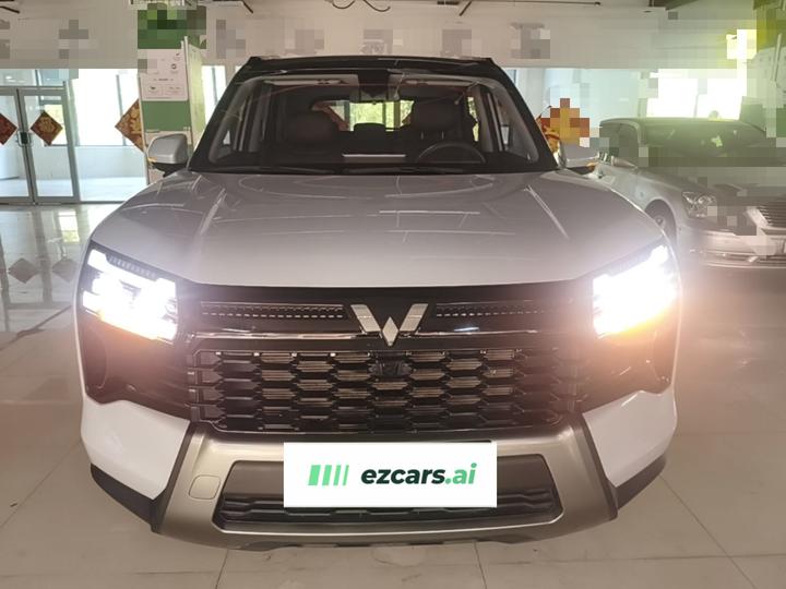 560 EV 2026 125km Luxury photo 2