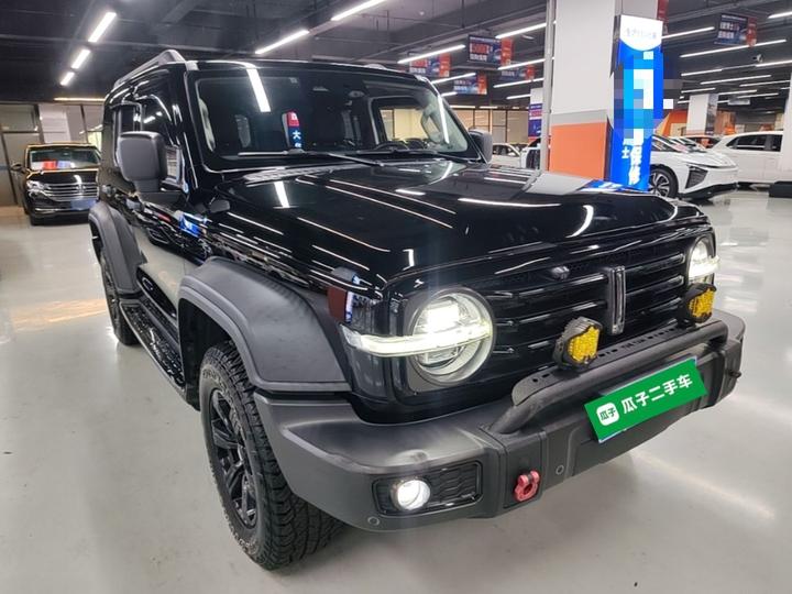 300 2021 Off-road 2.0T Conqueror photo 3