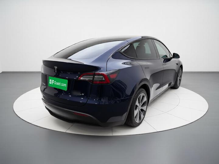 Model Y 2021 Long Range AWD photo 4
