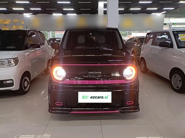 2025 210km Panda photo 2