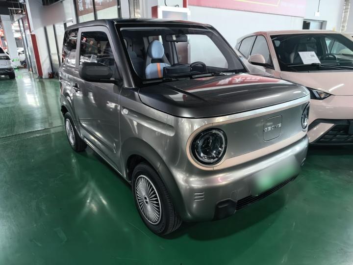 2023 Panda mini 200km Endurance Bear photo 3