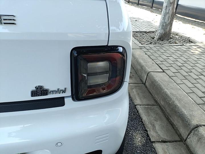 2024 Panda mini 200km Endurance Bear photo 7