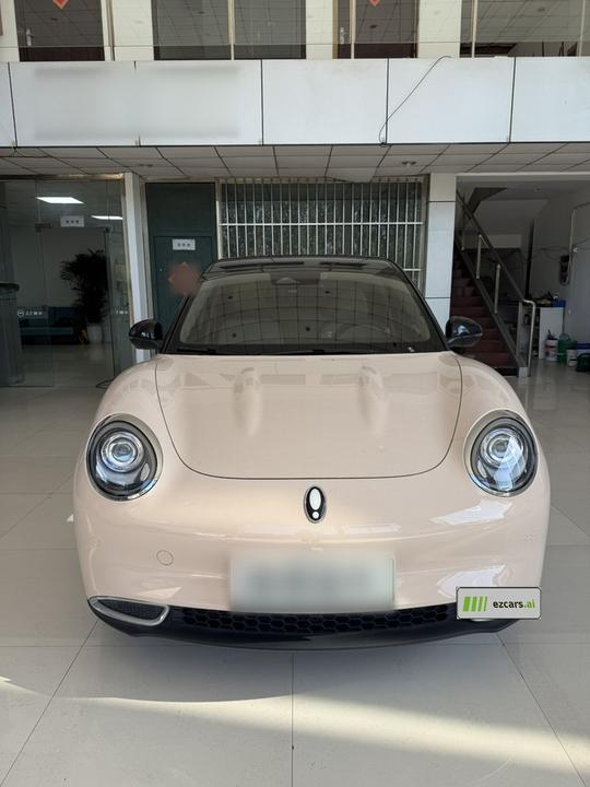 Good Cat 2023 401km Standard Range Premium LFP photo 5