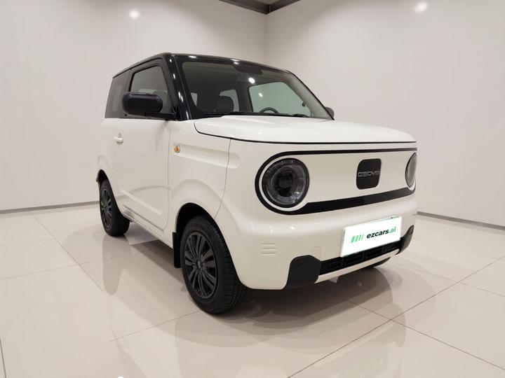 2024 Panda mini 200km Endurance Bear photo 3