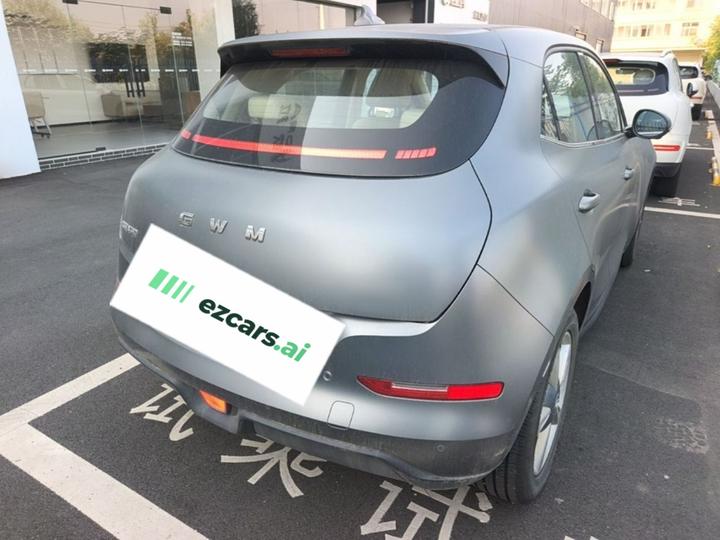 Good Cat 2025 430km Noble photo 6