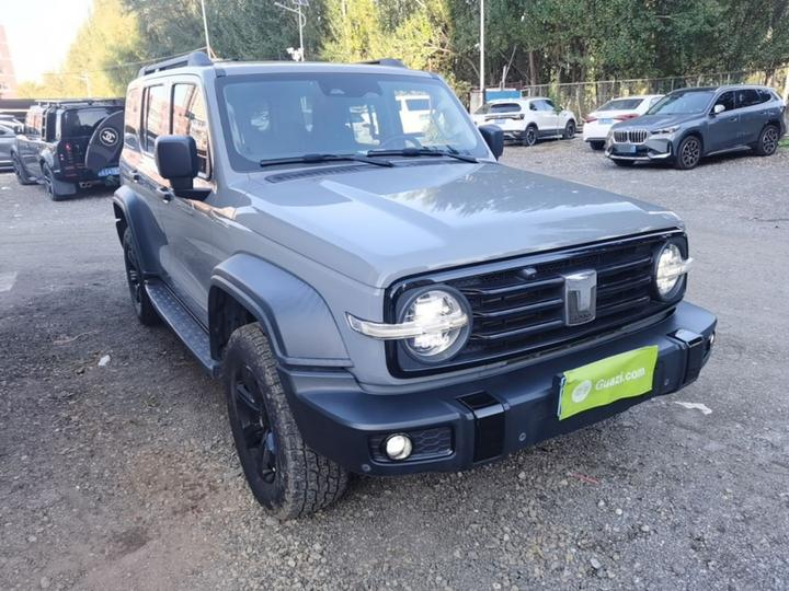 300 2021 Off-road 2.0T Conqueror photo 3