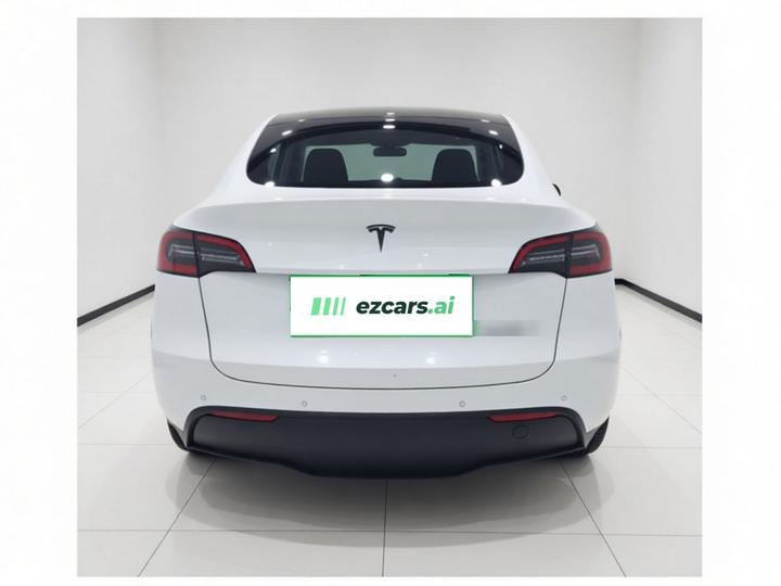 Model Y 2021 Long Range AWD photo 5