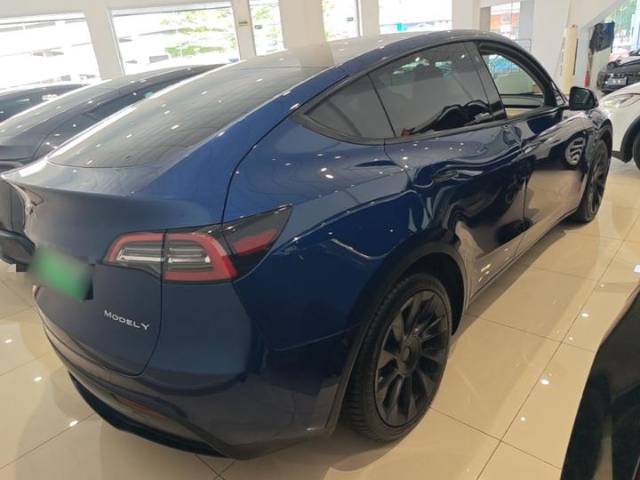 Model Y 2021 Long Range AWD photo 4