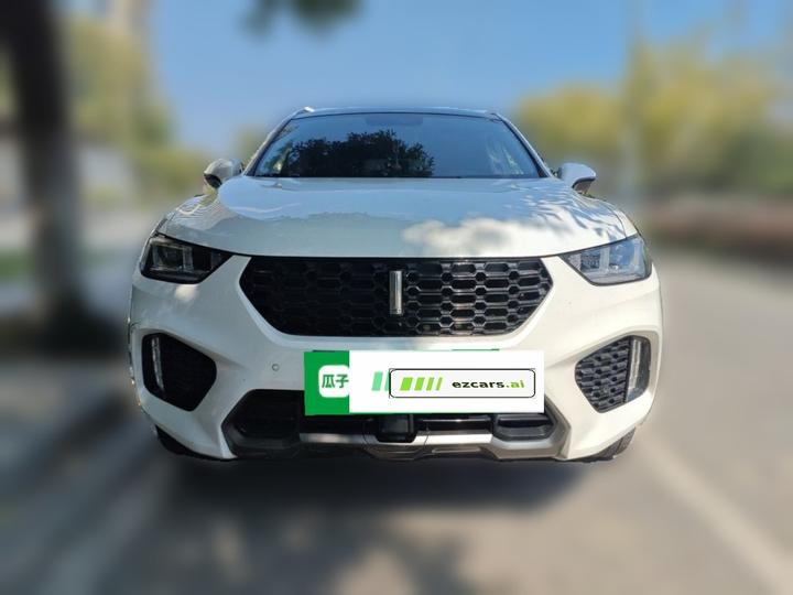 VV5 2019 Upgraded 2.0T RWD China V photo 2