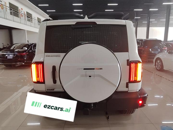 300 EV 2025 Hi4-T 37.1kWh photo 5