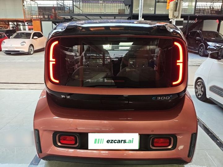 E300 2020 Plus photo 5