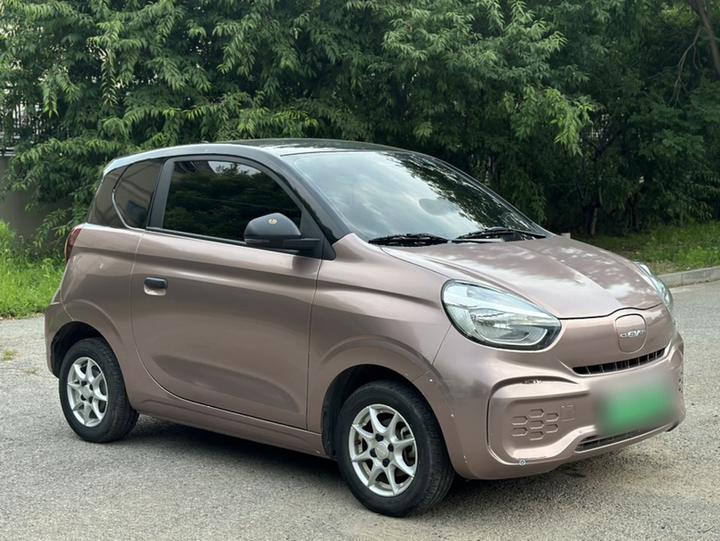Clever R 2022 311km Yuan photo 3