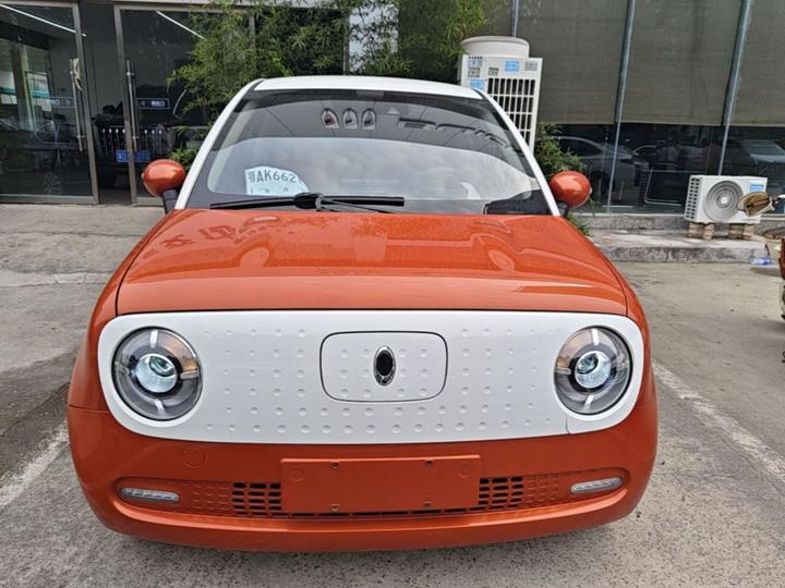 2019 351km photo 2