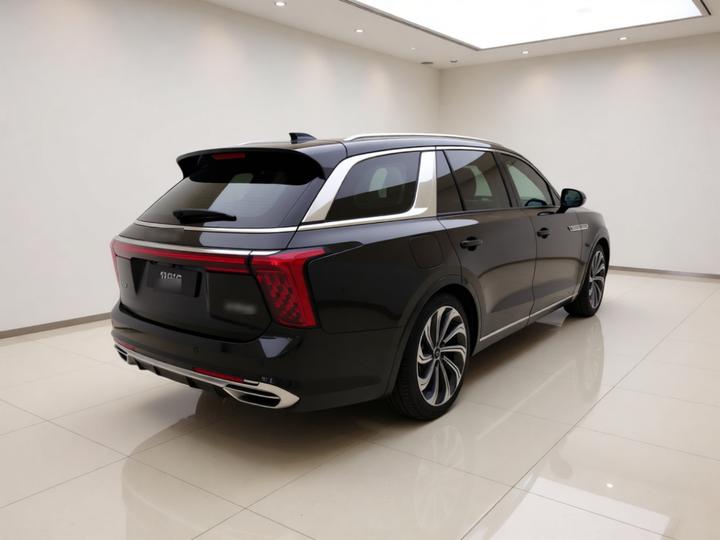 E-HS9 2021 510km 4-Seater photo 6