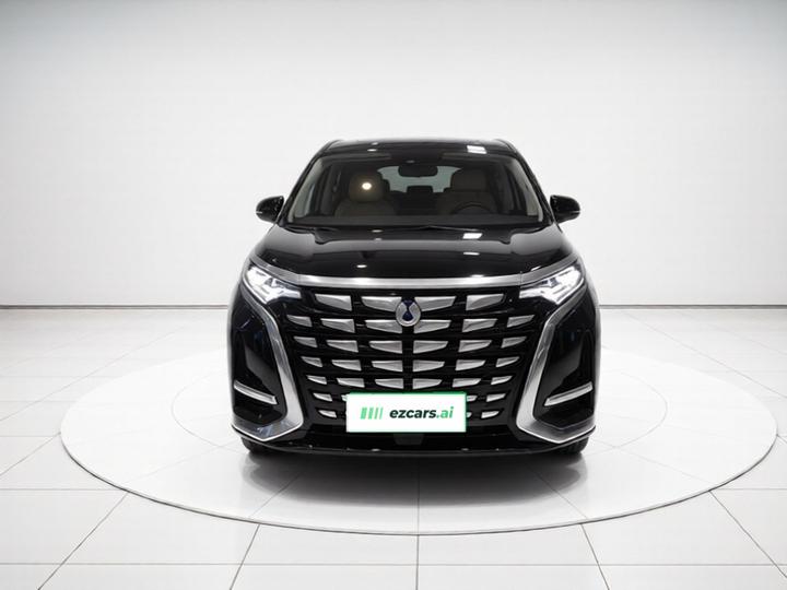 D9 2024 DM-i 970 Luxury photo 2