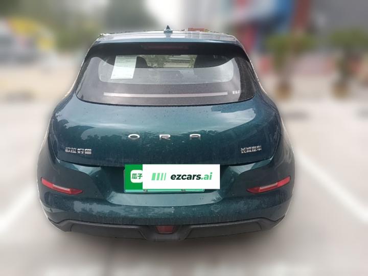 Good Cat 2021 400km Standard Range LFP photo 5