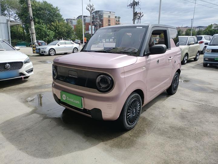 2023 Panda mini 200km