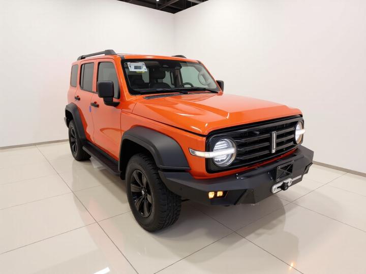 300 2021 Off-road 2.0T Conqueror photo 3