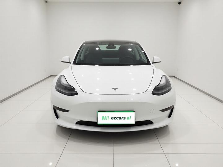 Model 3 2020 Standard Range RWD Upgraded photo 2